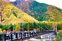 駒ヶ根ファームスの写真・動画_image_220388