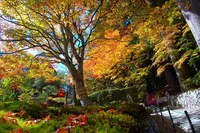 光前寺の写真・動画_image_220402