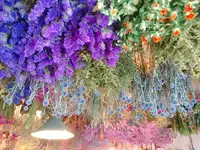 ドライフラワーと暮らしのお店 その灯ぐらし猫洞店の写真・動画_image_220785