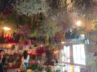 ドライフラワーと暮らしのお店 その灯ぐらし猫洞店の写真・動画_image_220786