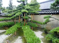 真珠庵の写真・動画_image_220800