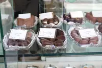 パディントンの写真・動画_image_221035