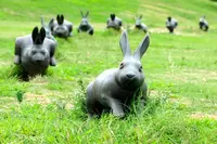 島根県立美術館の写真・動画_image_221087