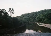 伊勢神宮の写真・動画_image_221096