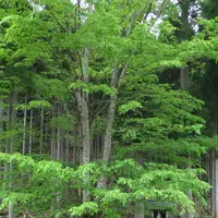 知見口（バス）の写真・動画_image_221107