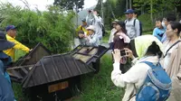 かやぶきの里北集落の写真・動画_image_221112