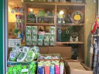 フロッグスの写真・動画_image_221187