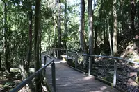 Scenic Worldの写真・動画_image_221219