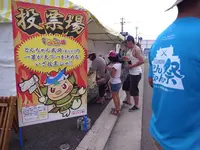 伊藤順和堂 本店 の写真・動画_image_22126