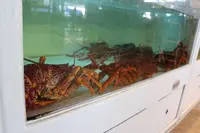 Doylesの写真・動画_image_221293