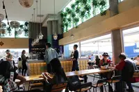 Doylesの写真・動画_image_221430