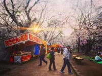 大宮公園の写真・動画_image_221494