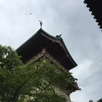 大雲院の写真・動画_image_221521