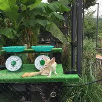 京都市動物園の写真・動画_image_221534