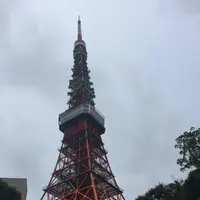 東京タワーの写真・動画_image_221613
