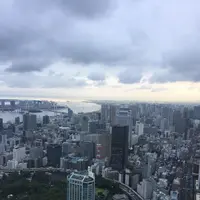 東京タワーの写真・動画_image_221615