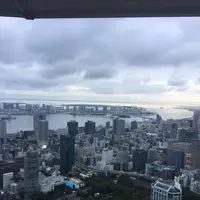 東京タワーの写真・動画_image_221616