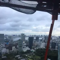 東京タワーの写真・動画_image_221617