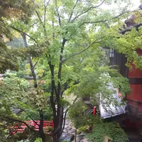 芝とうふ屋 うかいの写真・動画_image_221620