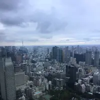 東京タワーの写真・動画_image_221621