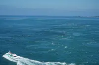 渦の道の写真・動画_image_221707