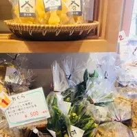 富士大石ハナテラスの写真・動画_image_221793