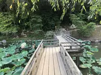 岡山後楽園の写真・動画_image_221946