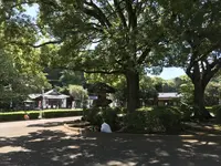 総持寺の写真・動画_image_222110