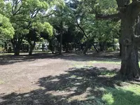 総持寺の写真・動画_image_222125