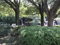 総持寺の写真・動画_image_222144