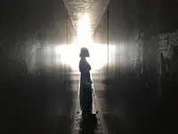 家プロジェクト「護王神社」の写真・動画_image_222239