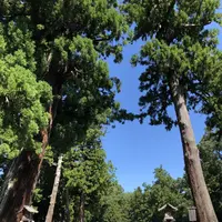 伊勢神宮外宮（豊受大神宮）の写真・動画_image_222484