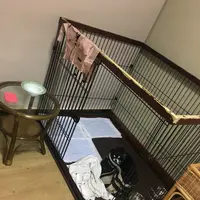 草津温泉 大東舘の写真・動画_image_222898