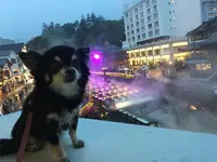 草津温泉 大東舘の写真・動画_image_222899