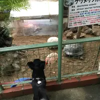草津熱帯圏の写真・動画_image_222921
