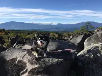 鬼押出しの写真・動画_image_222928