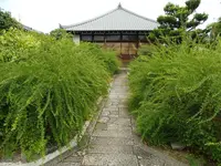 常林寺の写真・動画_image_223018