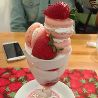 カフェティント（cafe tint）の写真・動画_image_223037