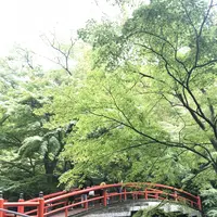 露天風呂の写真・動画_image_223046