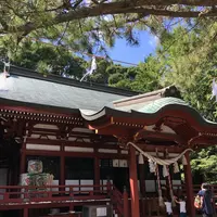 桜ケ池の写真・動画_image_223084