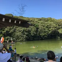 桜ケ池の写真・動画_image_223085