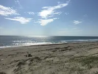 浜岡砂丘の写真・動画_image_223096