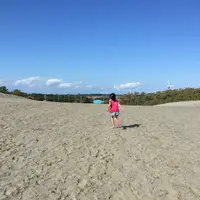浜岡砂丘の写真・動画_image_223097
