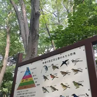 有栖川宮記念公園の写真・動画_image_223110