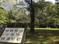 有栖川宮記念公園の写真・動画_image_223115