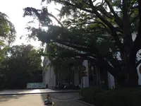 有栖川宮記念公園の写真・動画_image_223117