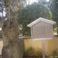 住吉公園の写真・動画_image_223175