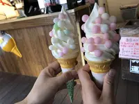 金刀比羅宮宝物館の写真・動画_image_223201