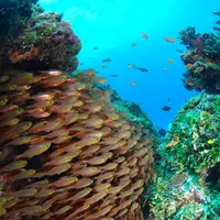 多良間島の写真・動画_image_223213