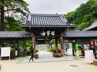 瑠璃光寺の写真・動画_image_223252